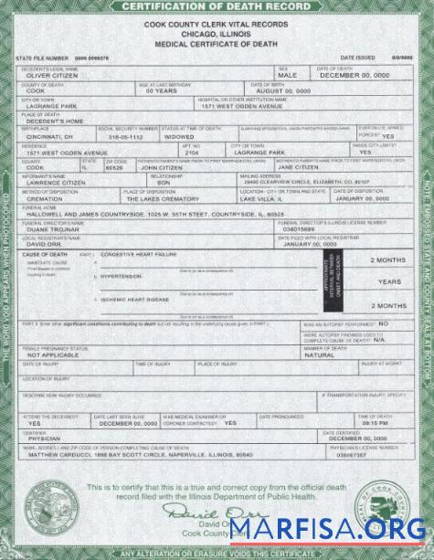 Blank USA Illinois state death certificate template in PSD format